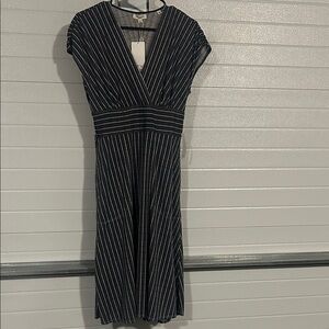 Max Studio Blue and White Pinstripe Midi Dress